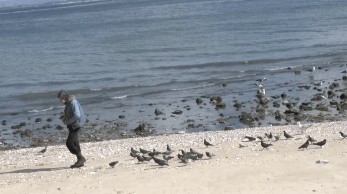 Screen Shot 2014-06-23 at 7.03.02 AM