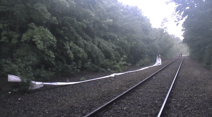 Screen Shot 2017-07-25 at 12.05.06 AM