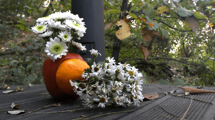 Screen Shot 2017-11-24 at 13.29.24