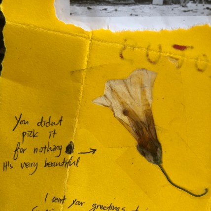 tumblr_pdodigtcSz1vzc9u9o1_1280